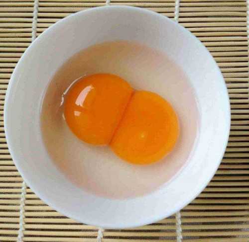上海同济医院供卵试管费用多少钱呢？一个疑问_甲胎蛋白是检查什么的_代孕网