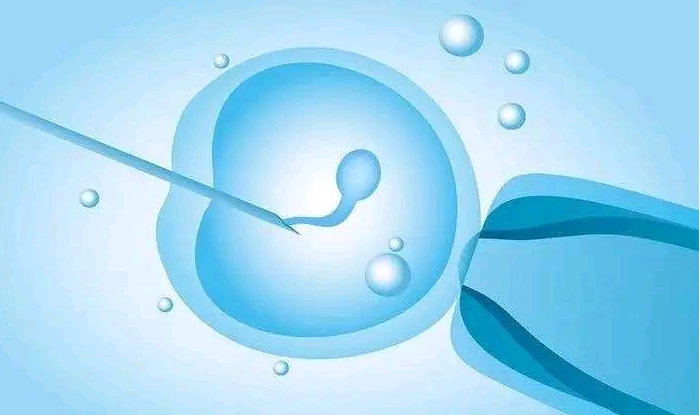 湖州供卵借卵 湖州妇幼试管成功率和费用情况参考 ‘孕36周男宝症状’
