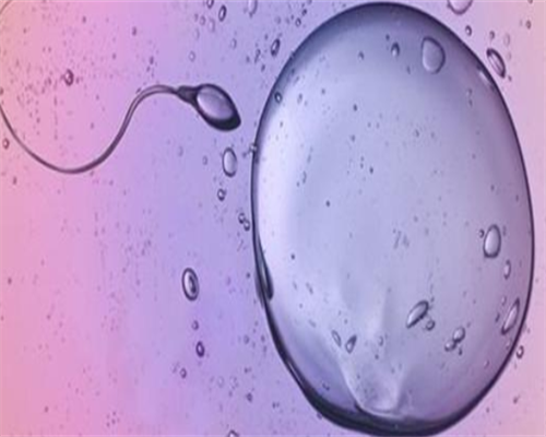 美国助孕费用贵不贵？仅试管就有5个流程的费用