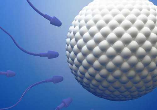 重庆代生供卵助孕医院,重庆哪个医院做三代试管好