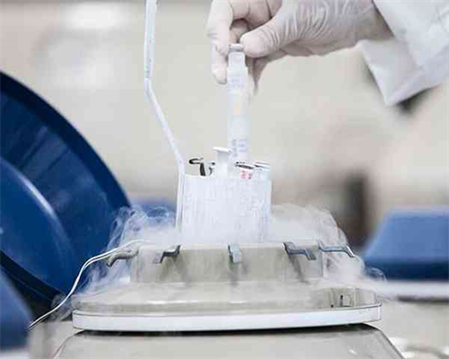 重庆找代生生小孩,哪些人需要做试管婴儿，情况主要分几种？-孕妇看见小壁虎