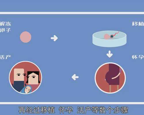 重庆代孕管网,做试管多放几个胚胎成功率高？北京哪个医院做试管婴儿-上海供