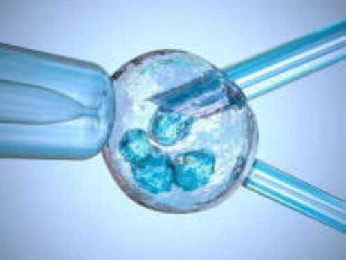 重庆有没有代孕的医院,多囊卵巢可以在重庆西南医院做试管吗？成功率大吗？