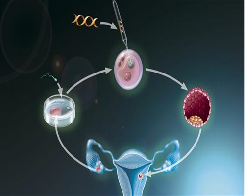 重庆专业代生技术,重庆西南医院试管群（微信群QQ群882078356），经验交流杜绝广