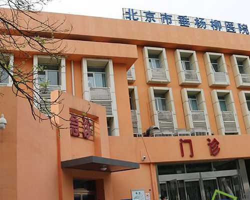 第三步：精子处理和体外受精