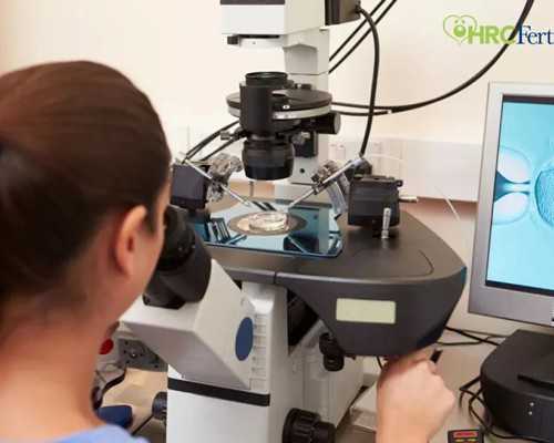 重庆助孕单身公司,重庆约苗公众号上的九价疫苗一般多久能预约上？