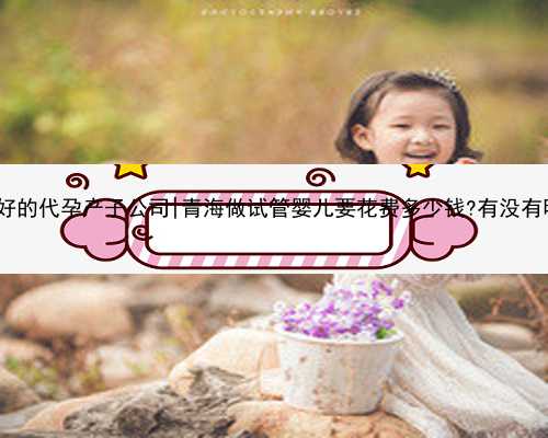 重庆最好的代孕产子公司|青海做试管婴儿要花费多少钱?有没有明细表?