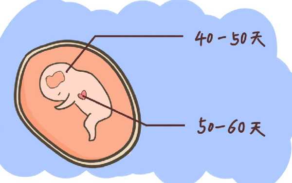 重庆哪家医院可以供卵试管 重庆大坪医院生殖医学中心 ‘怀孕孕囊5.8×3.9×1.