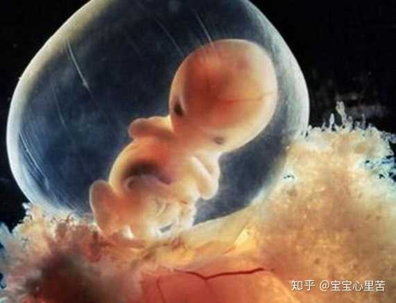 在重庆的北部妇产医院试管婴儿包成功能相信与否？可以选择吗？